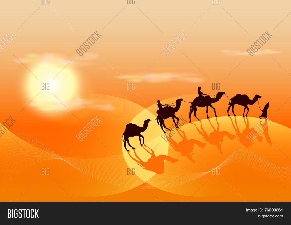 Верблюд Караван шелковый путь вектор