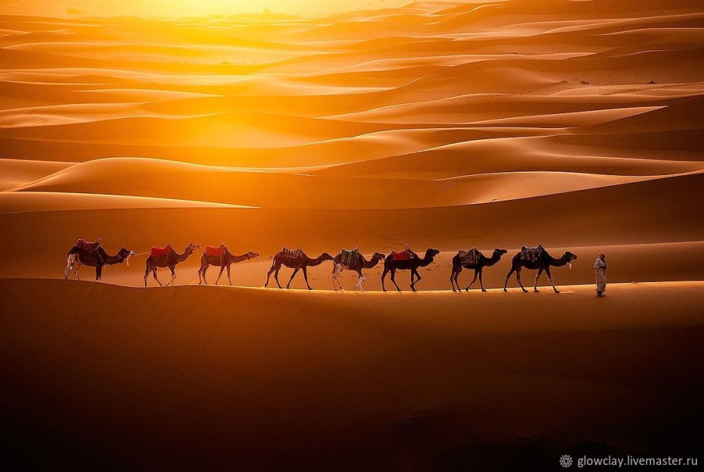 Пустыня Верблюды Караван