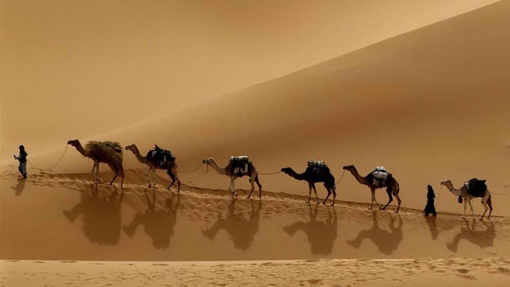 Великий шелковый путь Караванная дорога