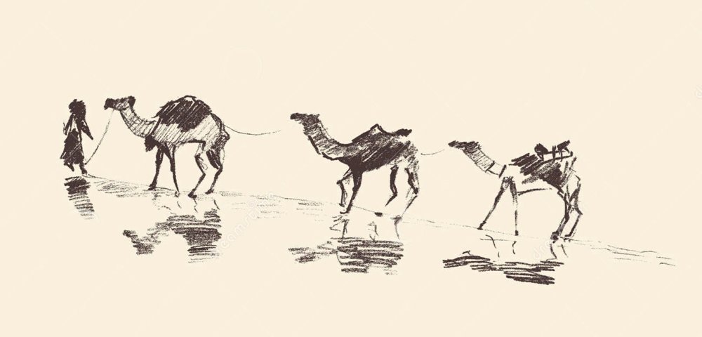 Верблюд Караван шелковый путь вектор