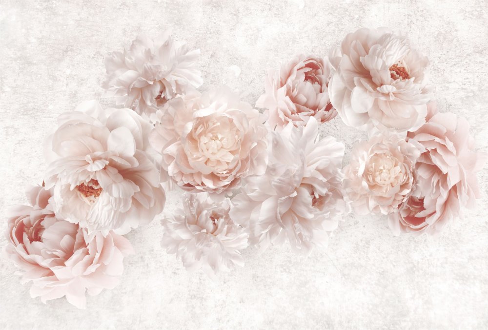 Пионы на бежевом фоне