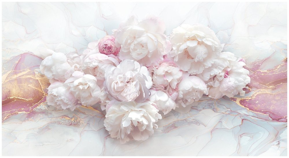 Пионы на белом фоне