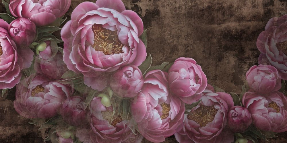 Фотообои пионы на темном фоне