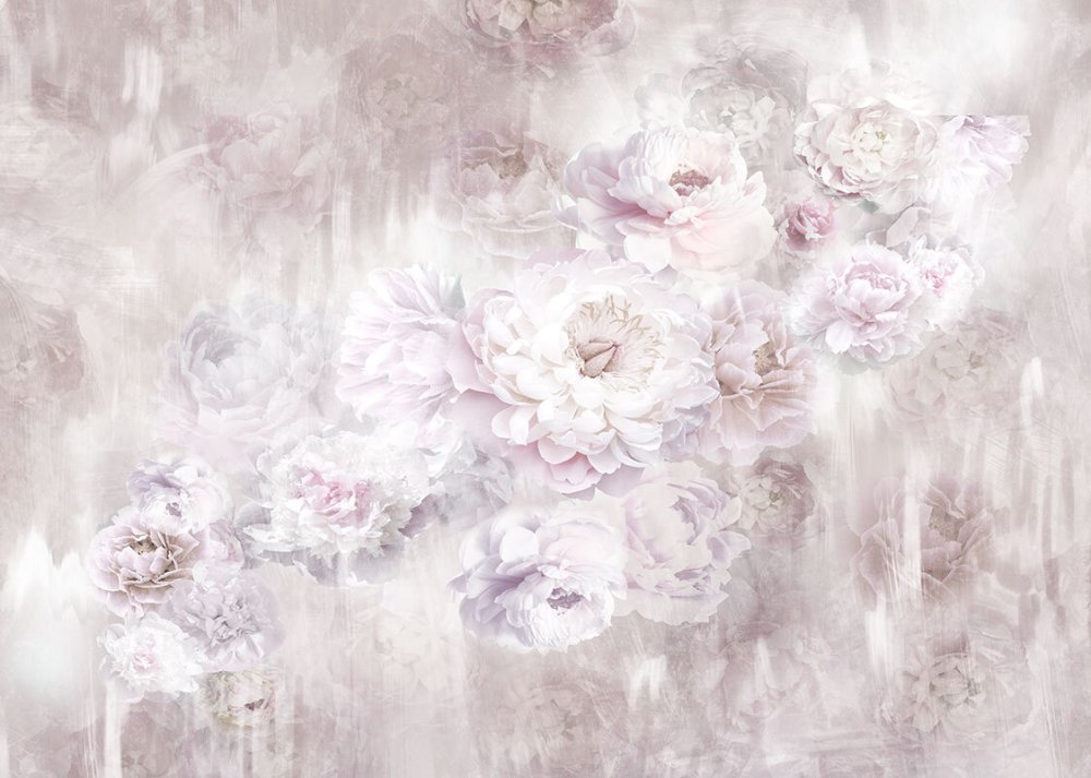 Фон из пионов на стену