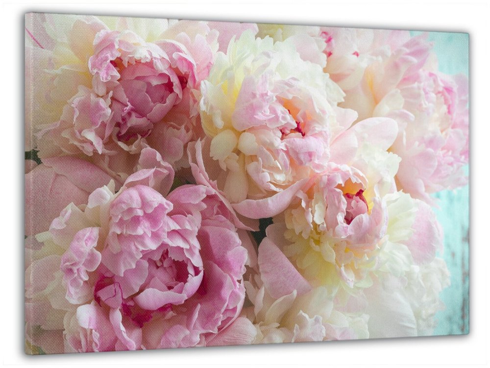 Картина светлые пионы