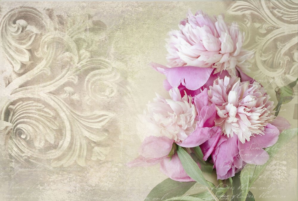 Фотообои пионы