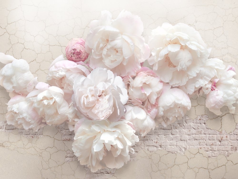 Бумажные фотообои бесшовные Verol "пионы" площадь 3,1 м2,