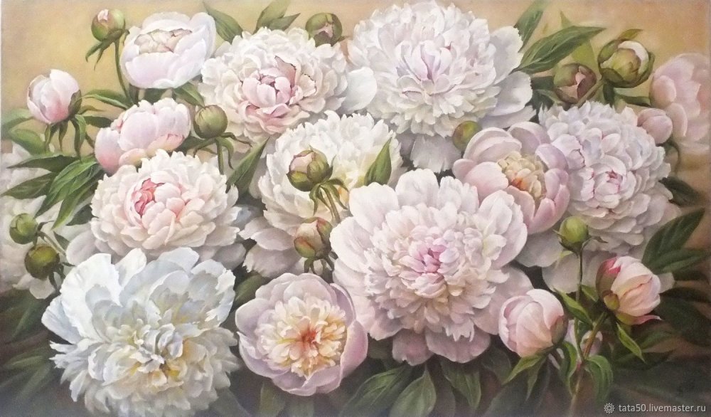 Пионы акварель