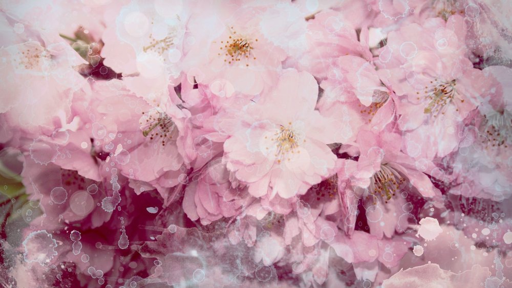 Пионы в интерьере кухни