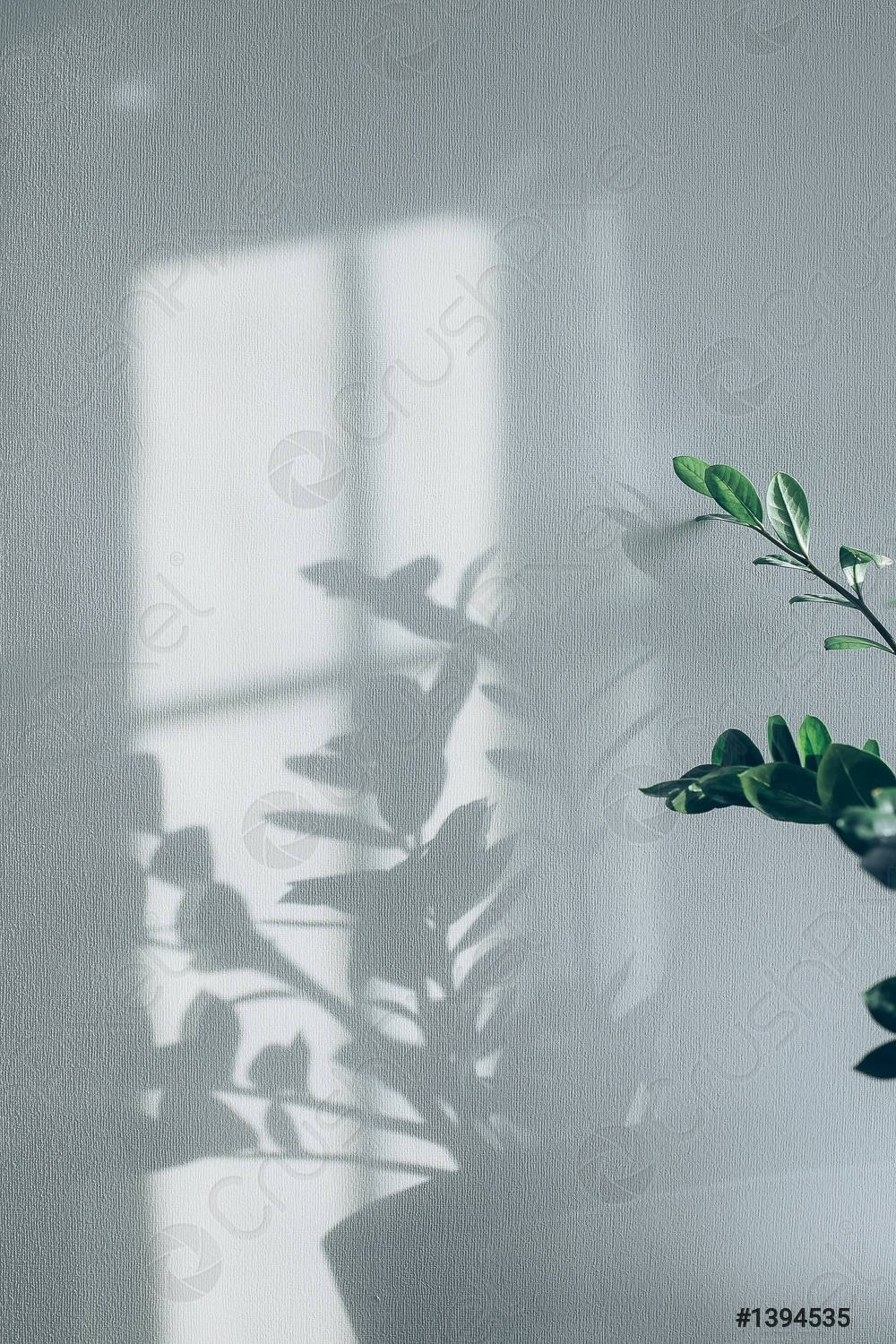 Тень от растений