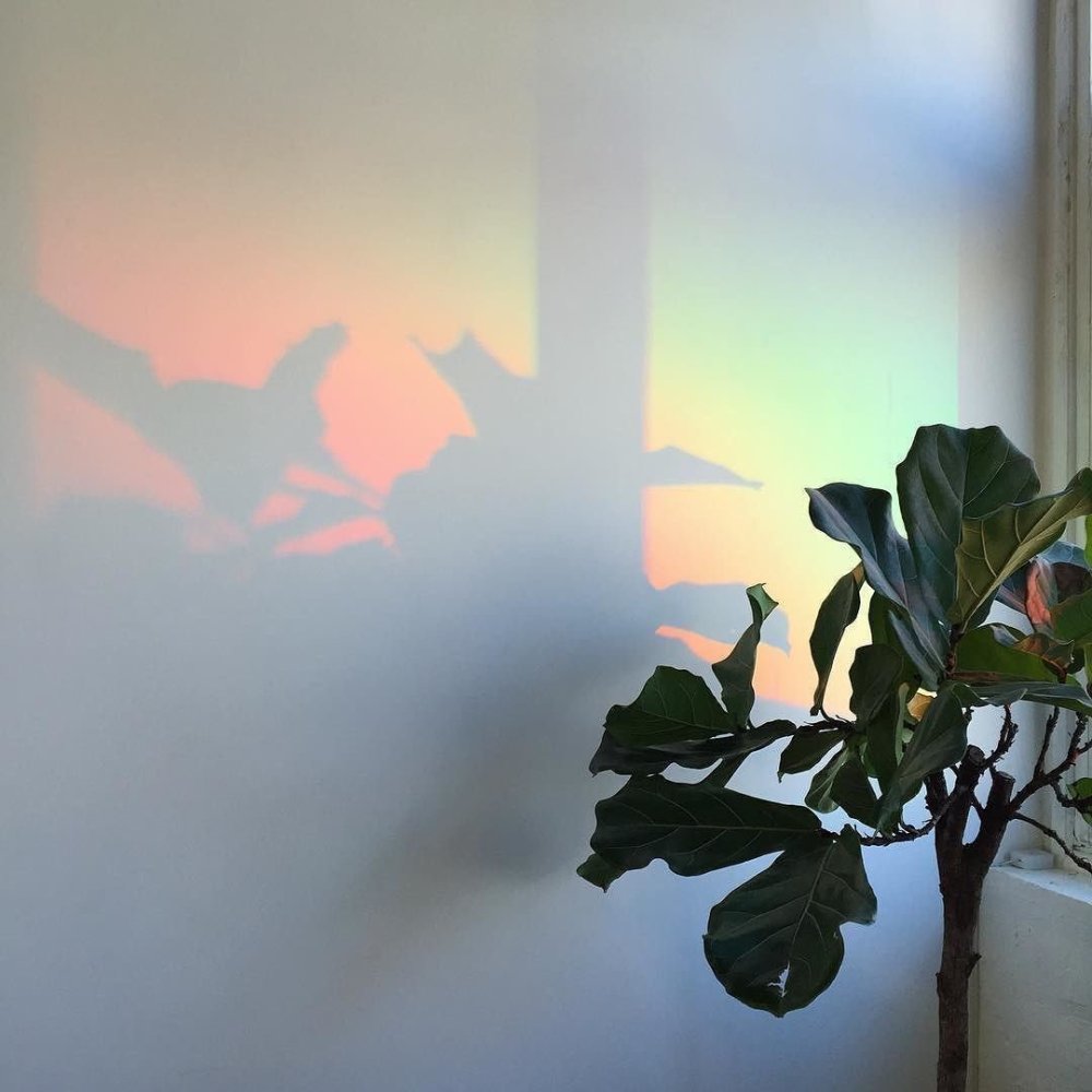 Красививыетени на стене