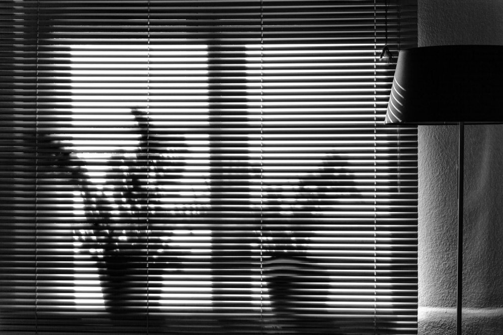 Жалюзи текстура