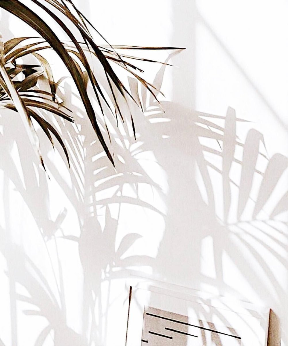 Тень Минимализм