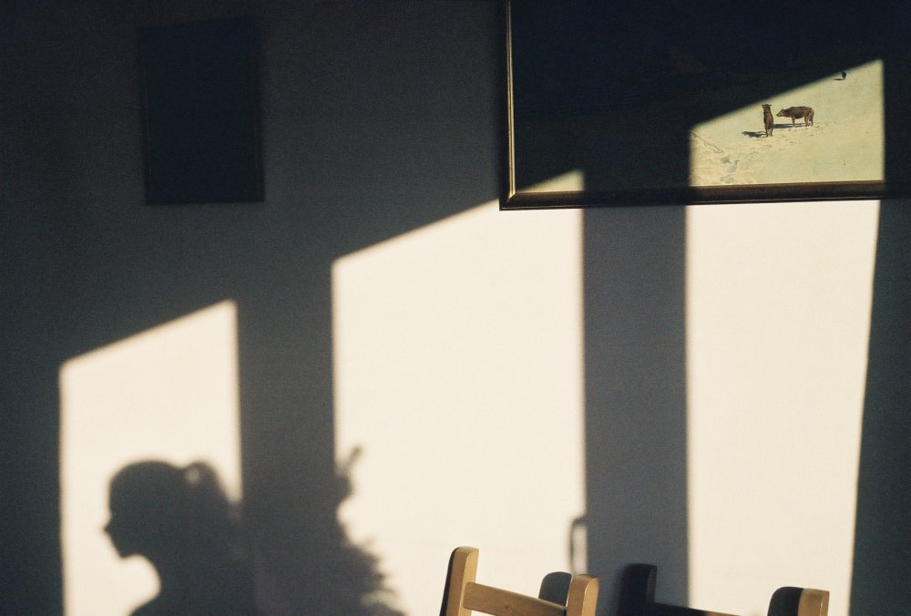 Тень от окна