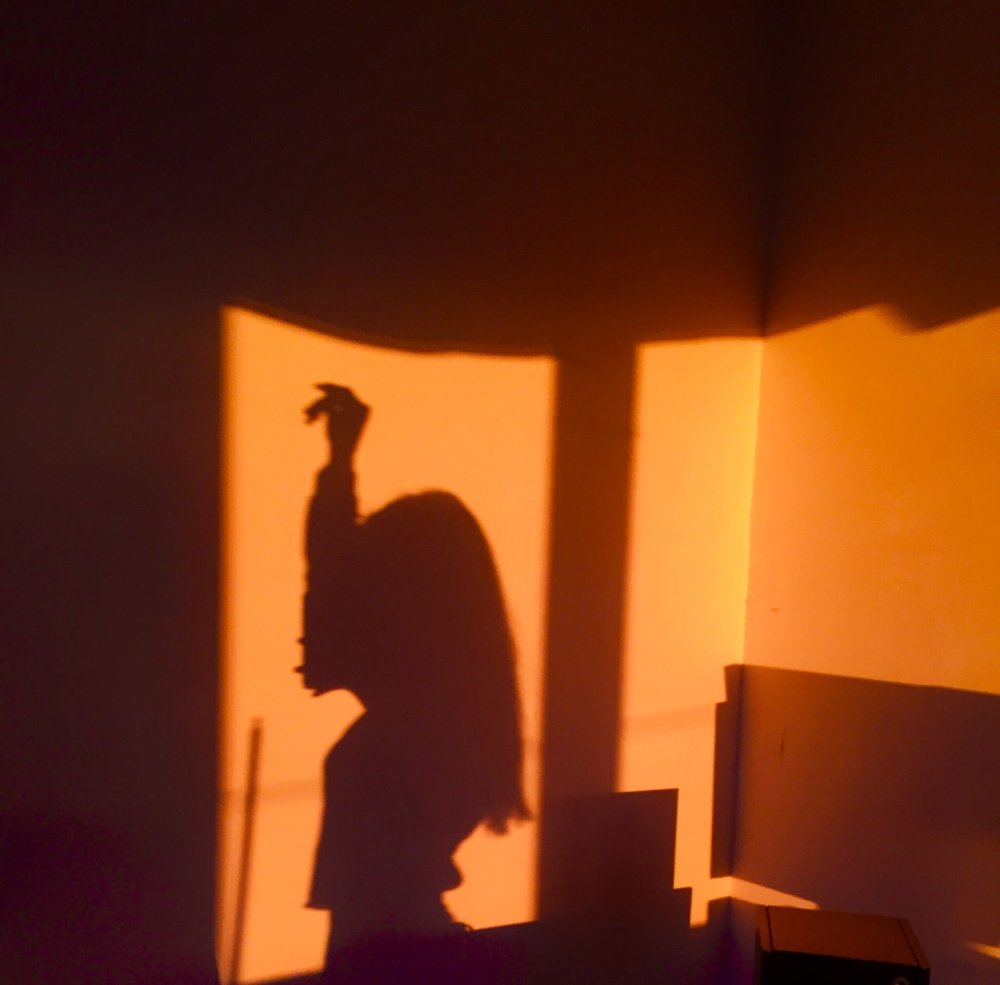 Тень на стене