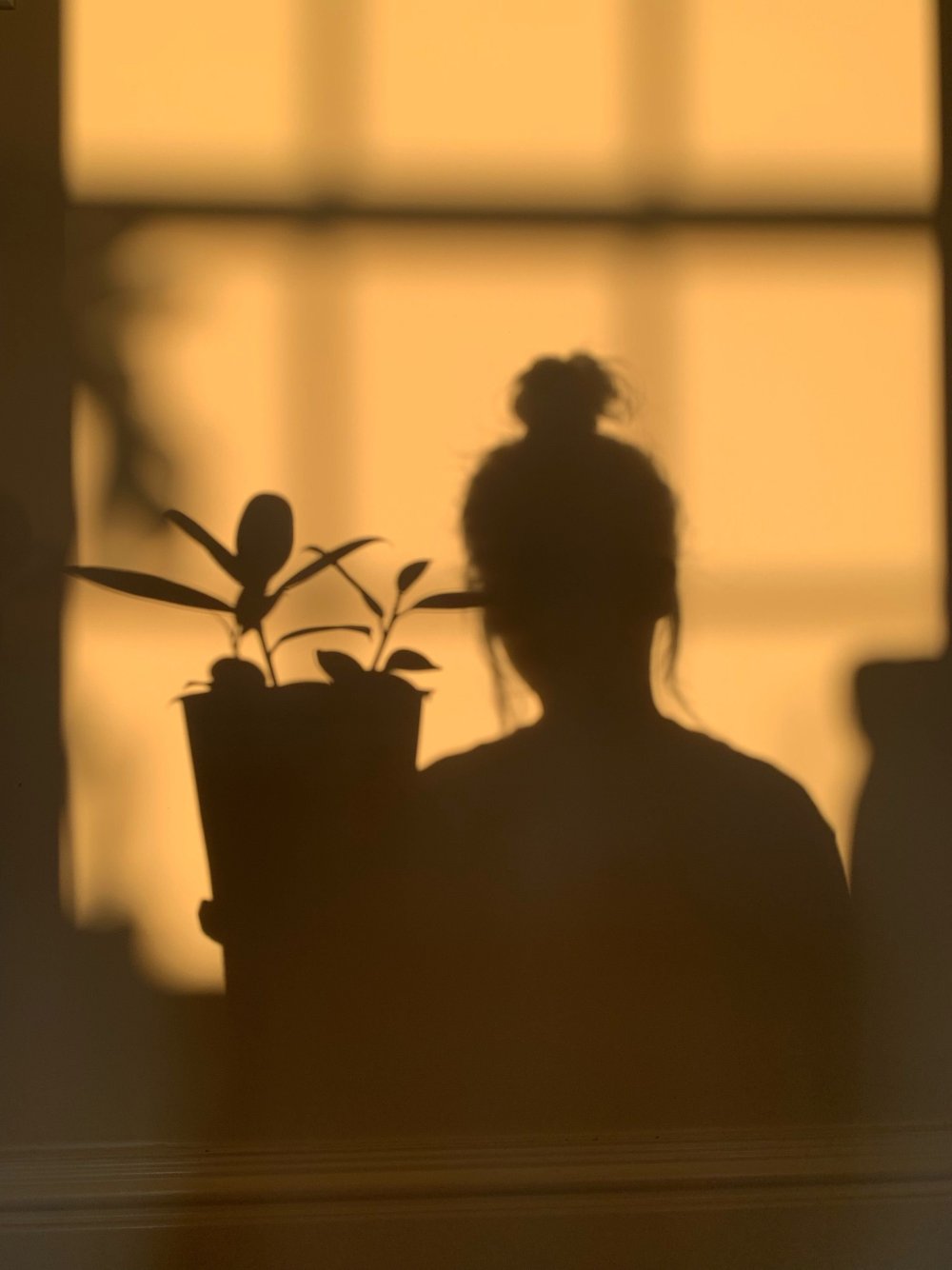 Тень Эстетика