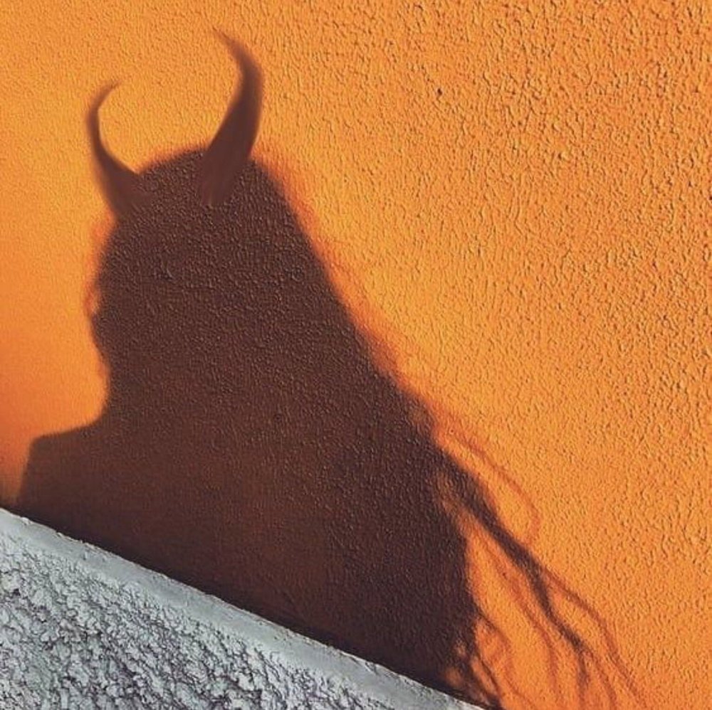 Тень на стене