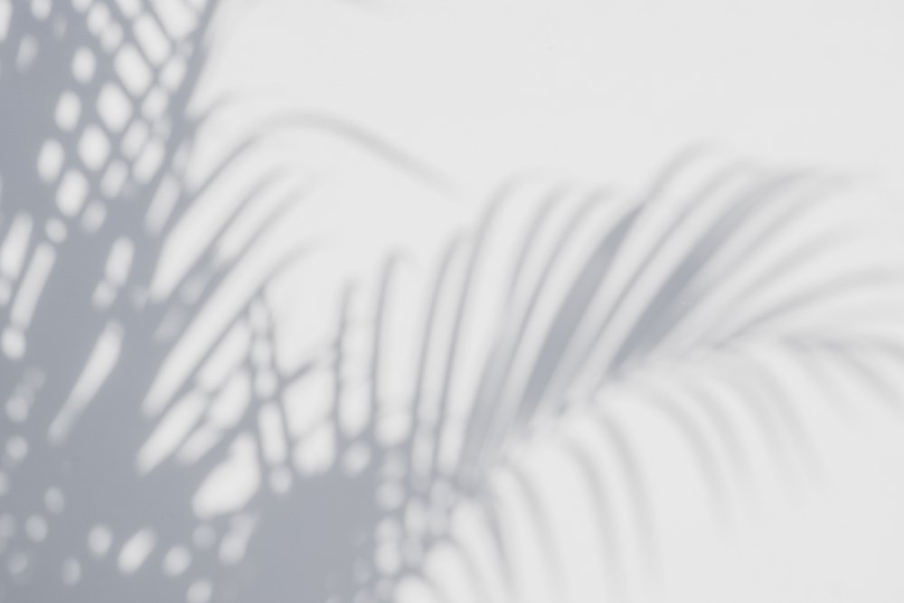 Тень от листьев на белом фоне