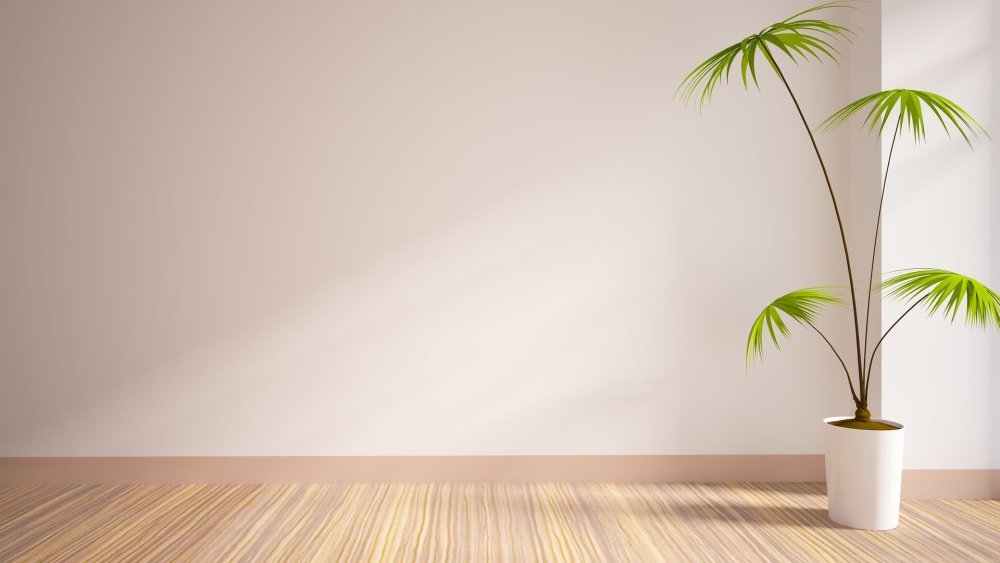 Пустая комната