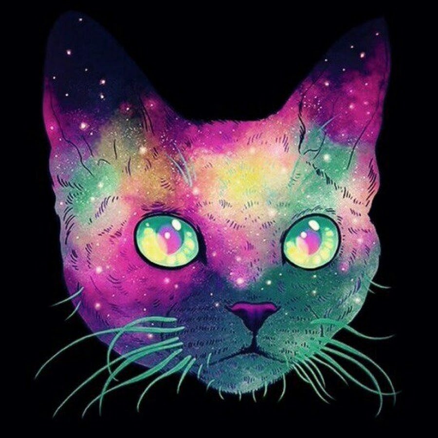 Космический кот