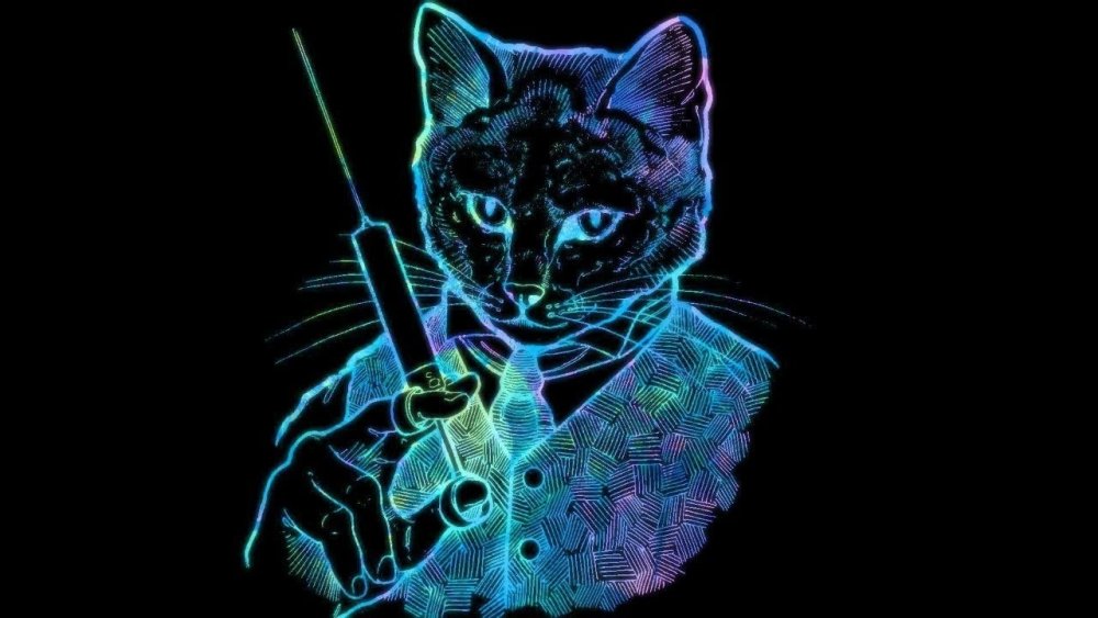 Крутые обои с котом