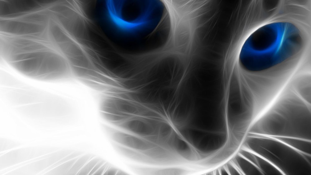 Алмазная живопись кошачий взгляд