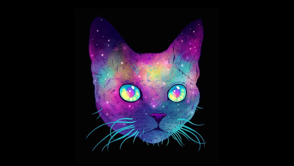 Космический кот арт