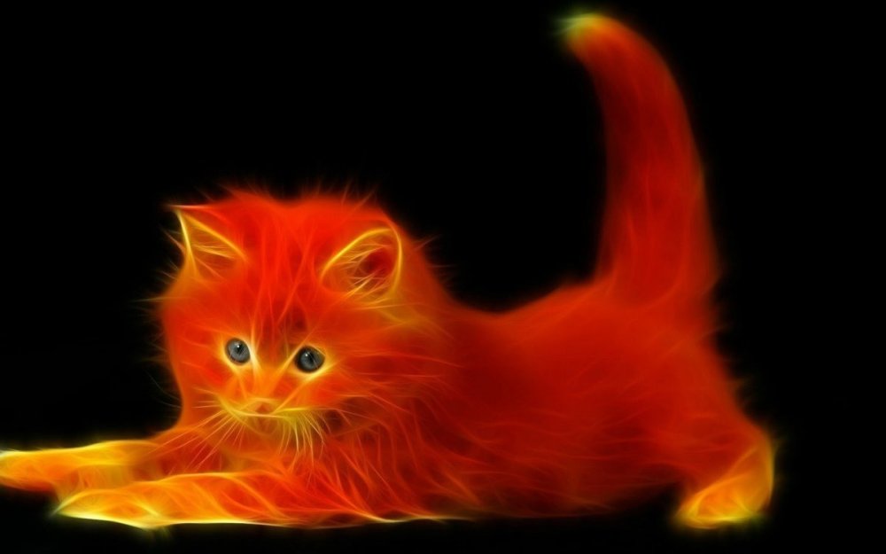 Огненный кот