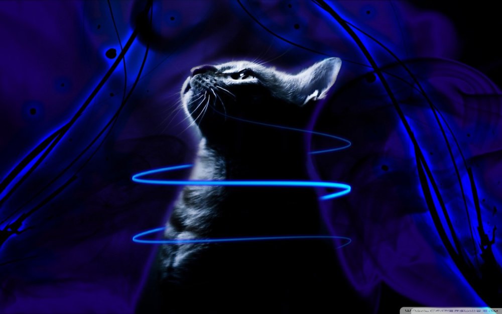 Обои Неоновые животные