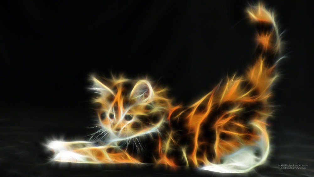 Огненный котенок арт