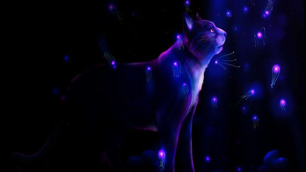 Фиолетовый кот