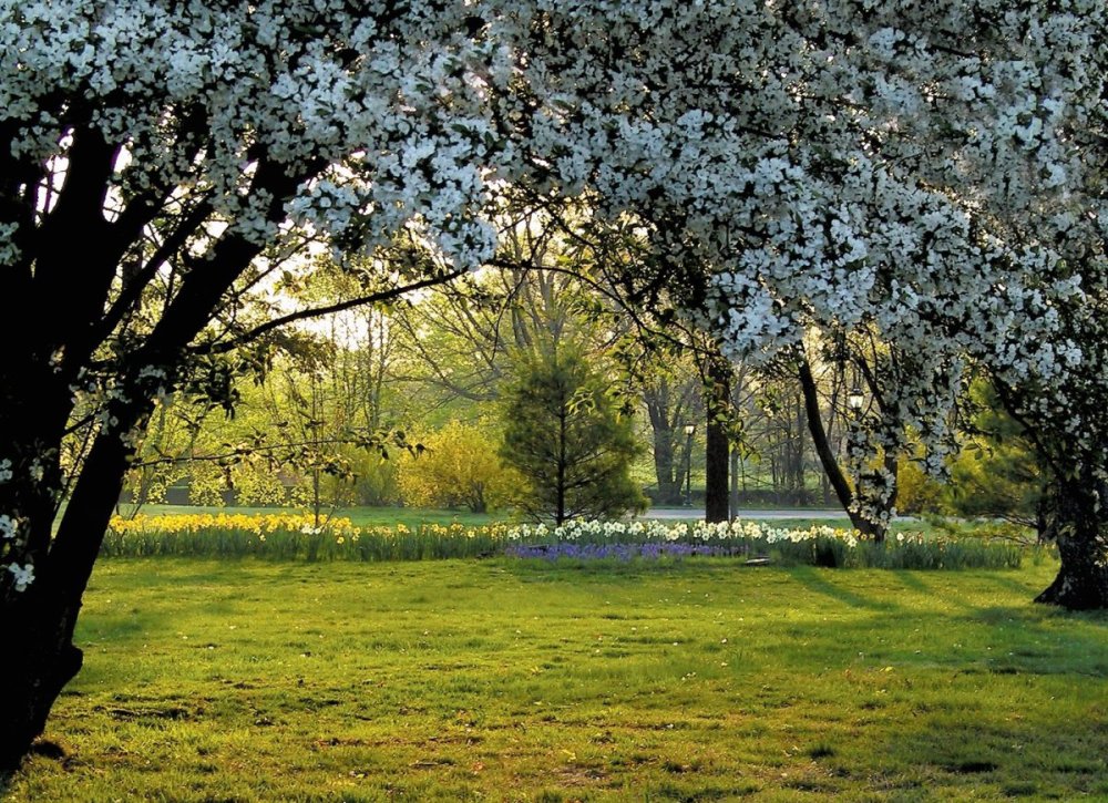 Коломенское цветущие сады