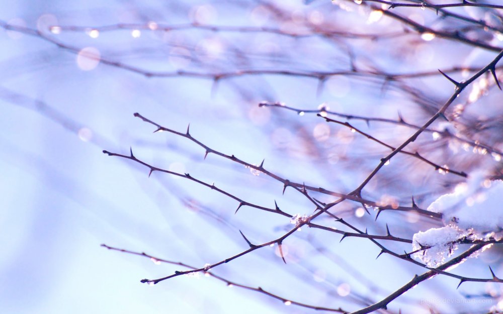 Весенняя листва