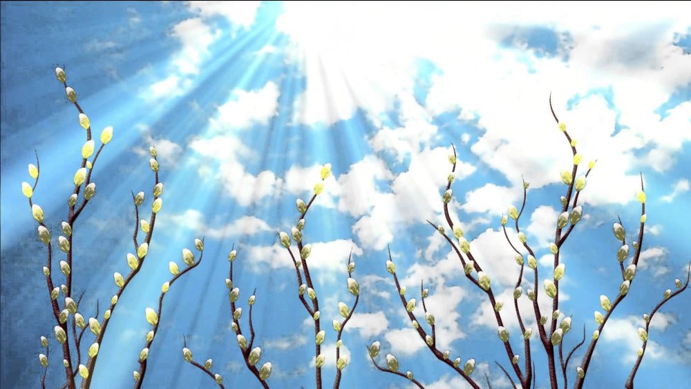 Весенняя Поляна в лесу