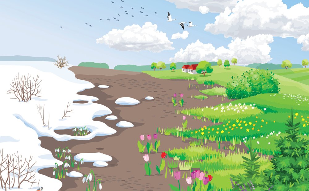 Заснеженное поле