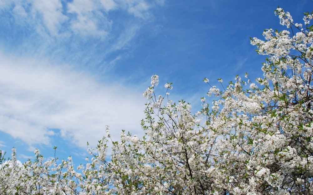 Ранняя Весна в Белоруссии