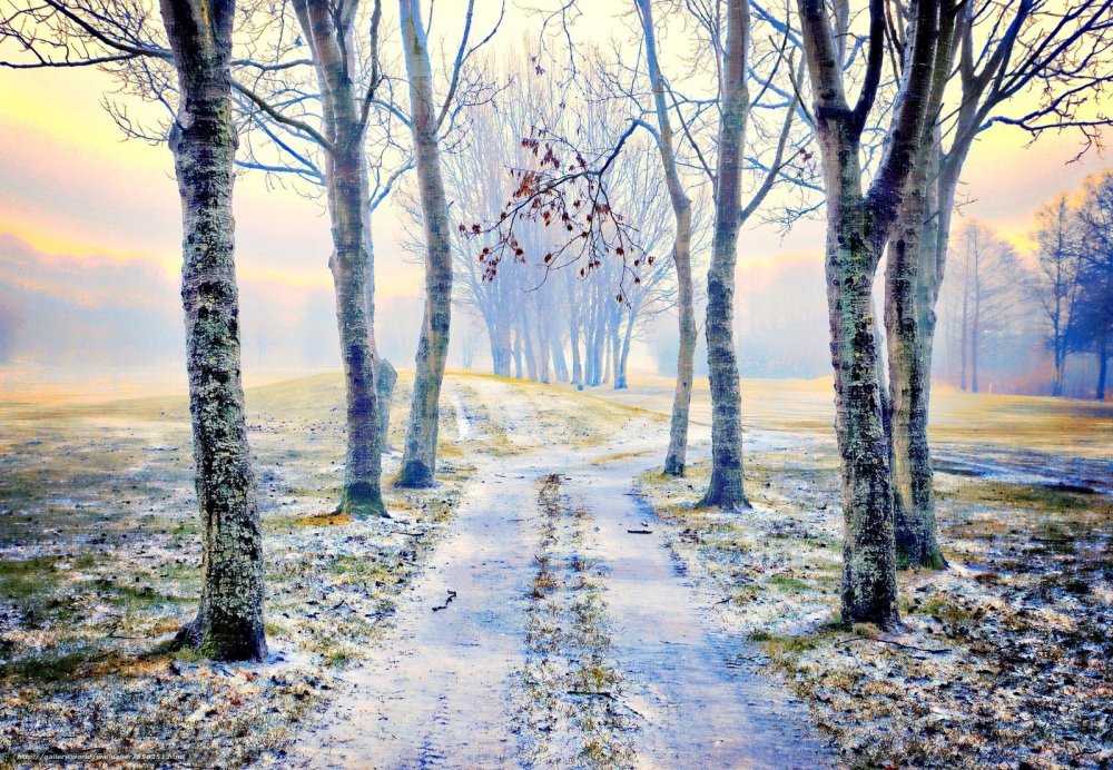 Боке природа