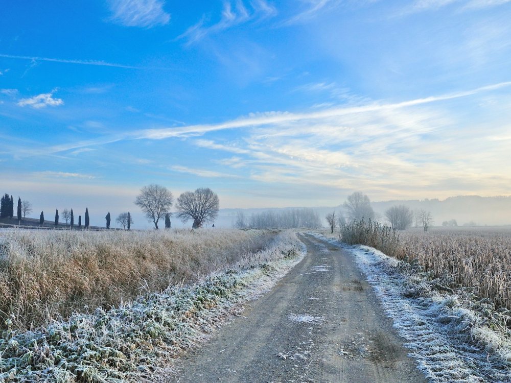 Ранняя Весна вектор