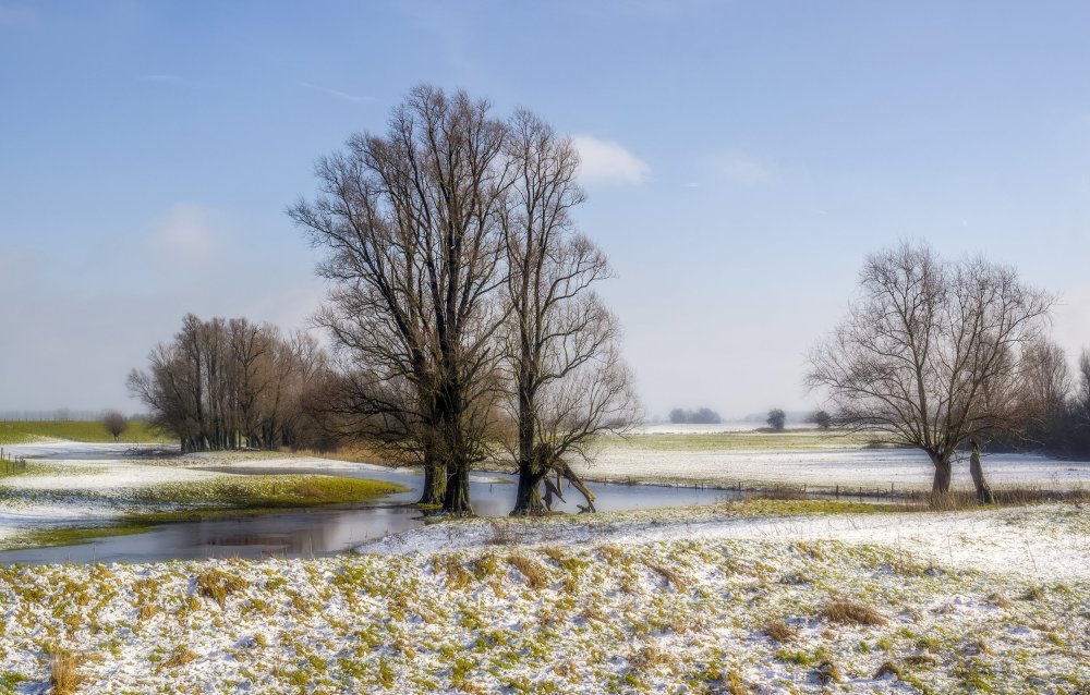 Весна фон вектор