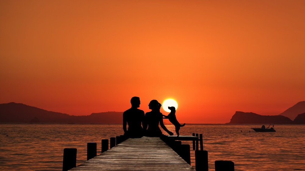 Пара на закате у моря