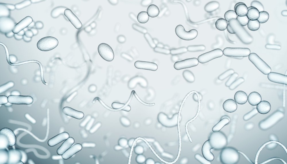 Фон для презентации по микробиологии