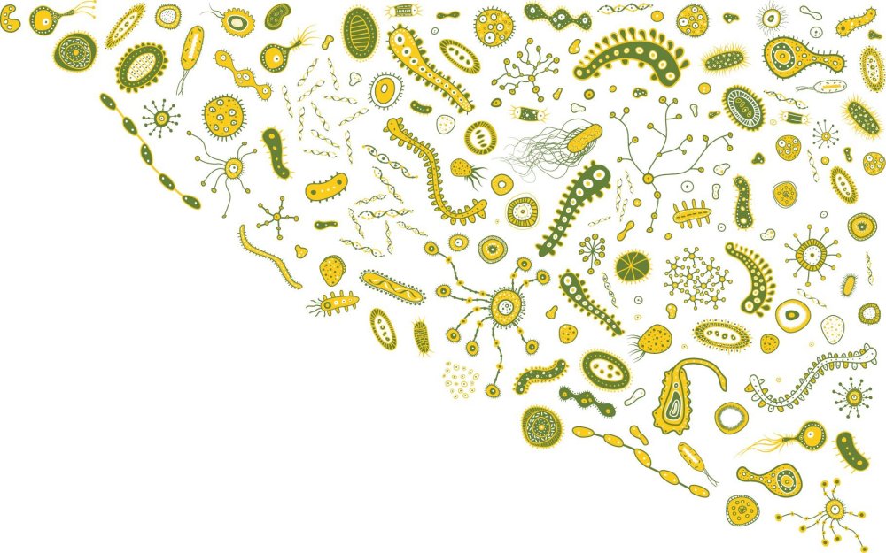 Бактерии на белом фоне