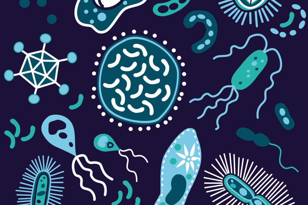 Фон по микробиологии