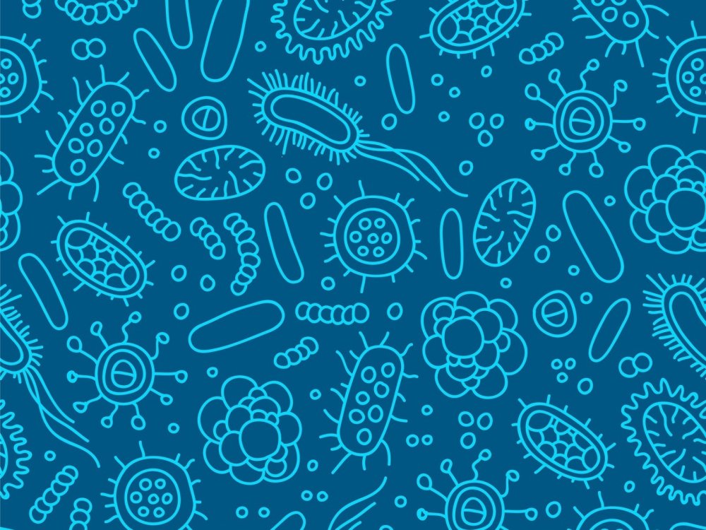 Паттерн микроорганизмы