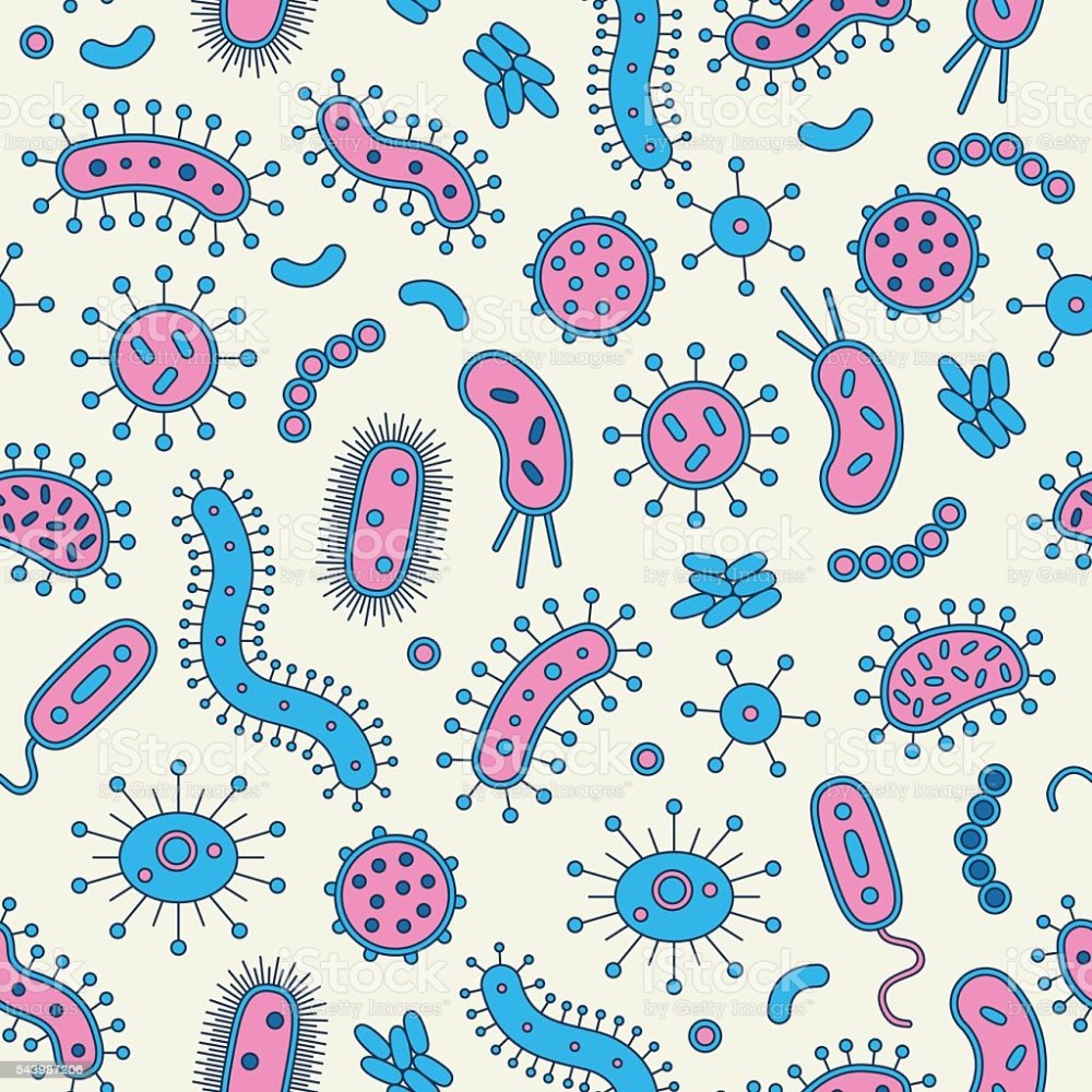 Паттерн микробы