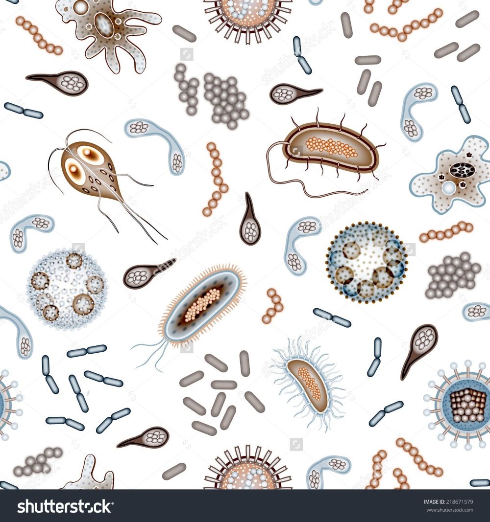 Бактерии паттерн