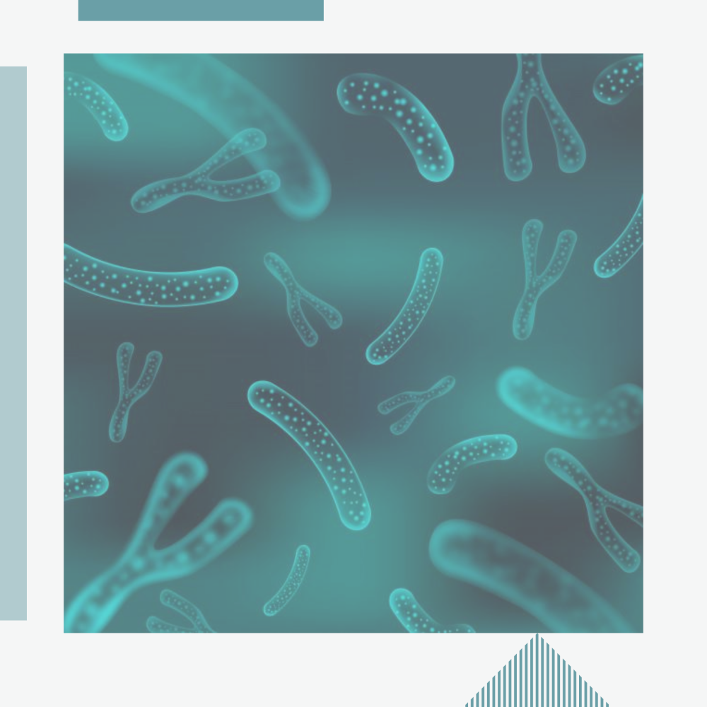 Психрофильные бактерии