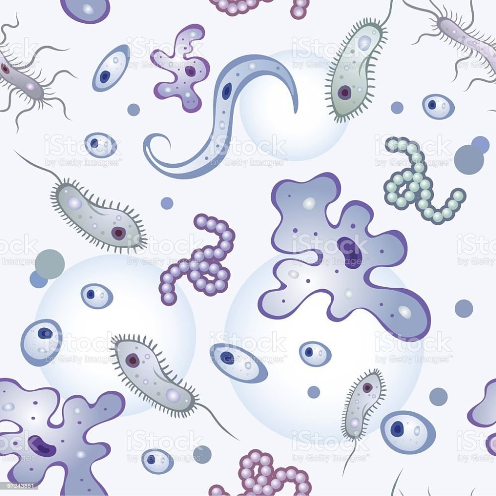 Бактерии паттерн