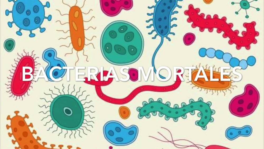 Бактерии иллюстрация