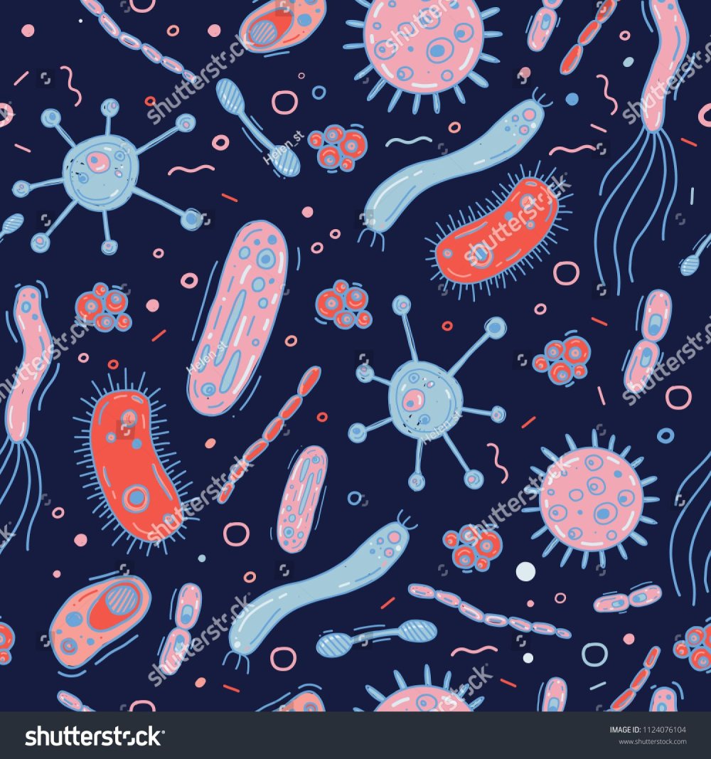 Паттерны микроорганизмов